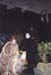 bild32