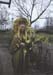 bild8
